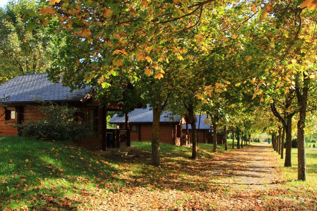 Hotel, Bungalows Y Camping Viu Экстерьер фото
