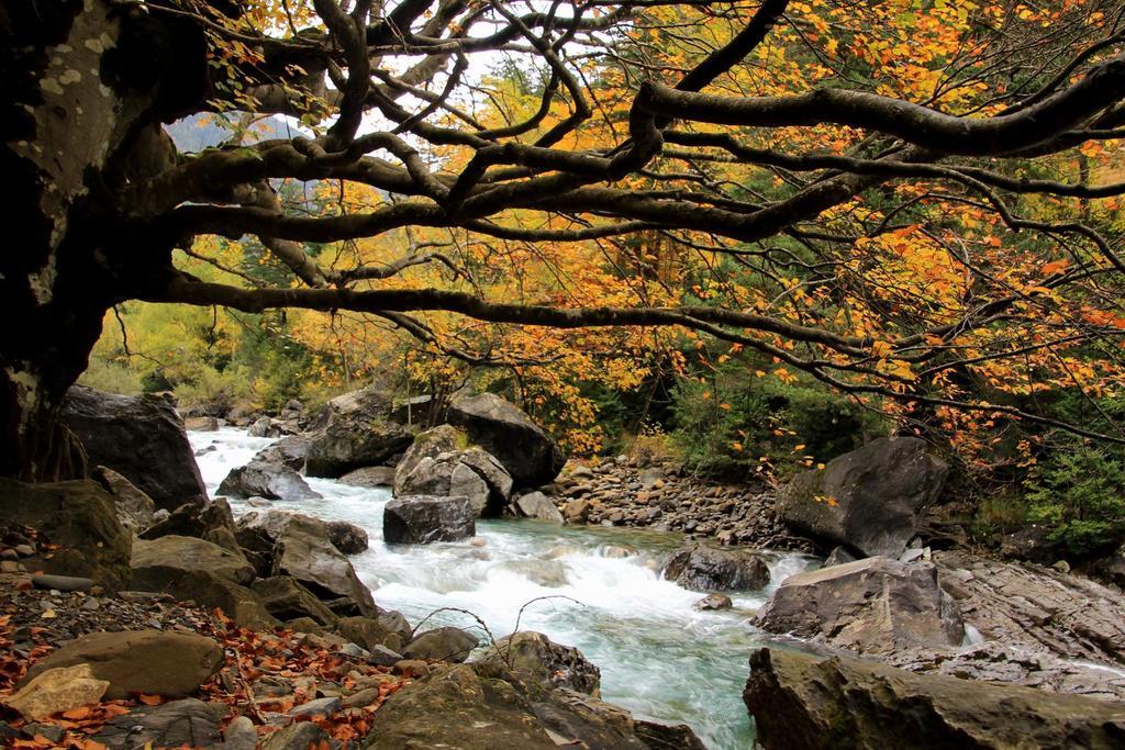 Hotel, Bungalows Y Camping Viu Экстерьер фото